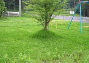 公共施工例 霧島市の不動産はサンライフ株式会社へ